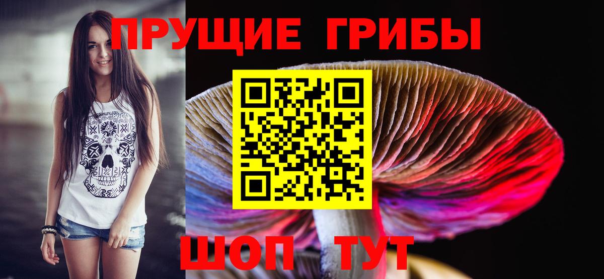 Псилоцибиновые грибы GOLDEN TEACHER Татарск